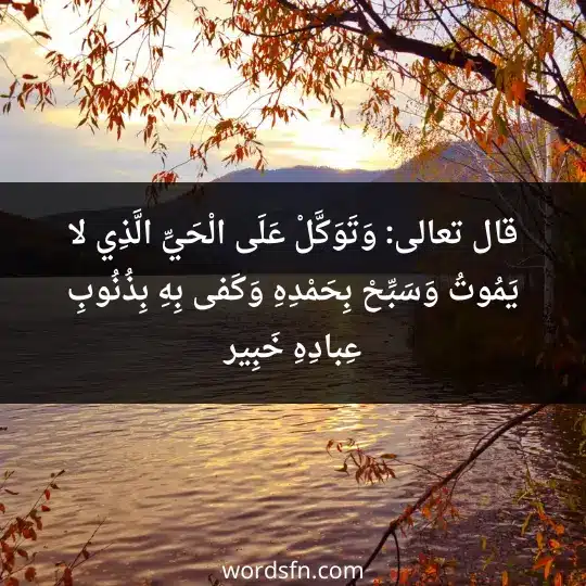 قال تعالى (وَتَوَكَّلْ عَلَى الْحَيِّ الَّذِي لا يَمُوتُ وَسَبِّحْ بِحَمْدِهِ وَكَفى بِهِ بِذُنُوبِ عِبادِهِ خَبِير