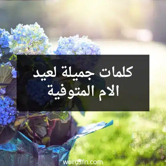 كلمات جميلة لعيد الام المتوفية