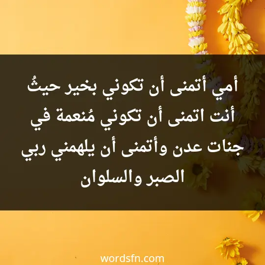 أمي، أتمنى أن تكوني بخير حيثُ أنت، اتمنى أن تكوني مُنعمة في جنات عدن، وأتمنى أن يلهمني ربي الصبر والسلوان - فن العبارات أمي، أتمنى أن تكوني بخير حيثُ أنت، اتمنى أن تكوني مُنعمة في جنات عدن، وأتمنى أن يلهمني ربي الصبر والسلوان