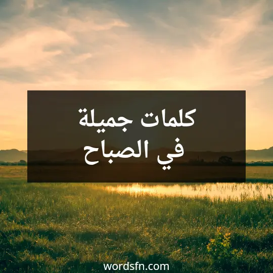 كلمات جميلة في الصباح