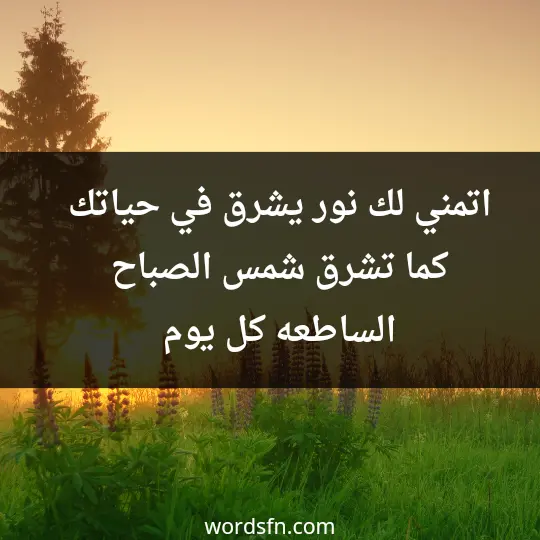 اتمني لك نور يشرق في حياتك كما تشرق شمس الصباح الساطعه كل يوم
