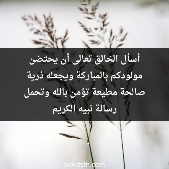 حالات تهنئة مولودة مبروك عبارات تهنئة مولود جديد ولد أسأل الخالق تعالى أن يحتضن مولودكم بالمباركة ويجعله ذرية صالحة مطيعة تؤمن بالله وتحمل رسالة نبيه الكريم