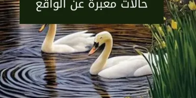حالات معبرة عن الواقع