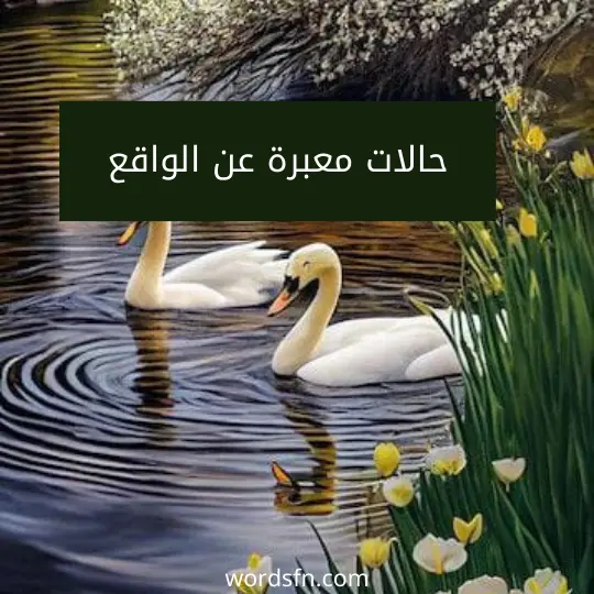 حالات معبرة عن الواقع