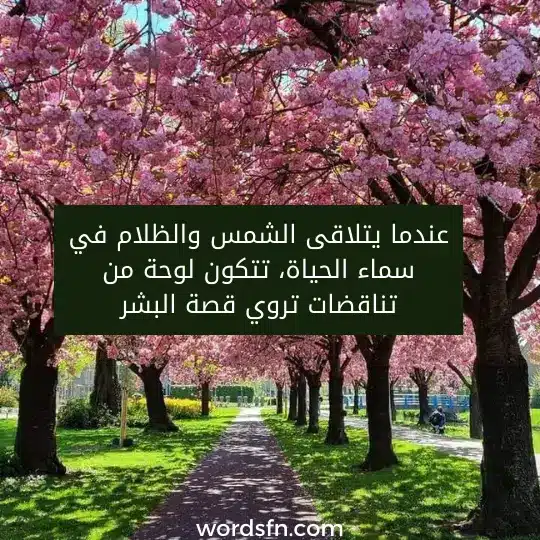 عندما يتلاقى الشمس والظلام في سماء الحياة، تتكون لوحة من تناقضات تروي قصة البشر.