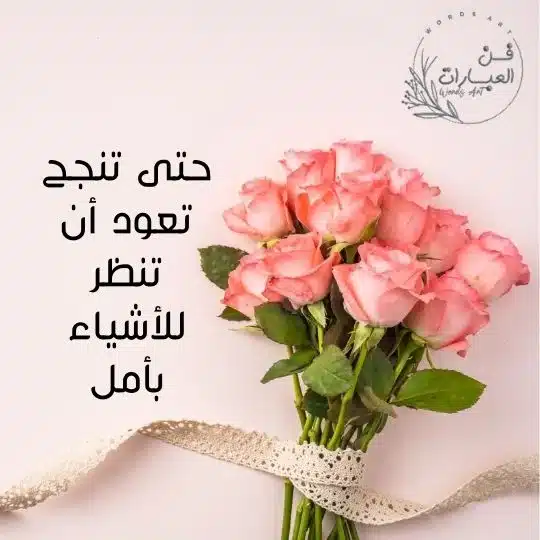 عبارات انستا بنات