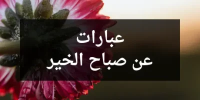 عبارات عن صباح الخير