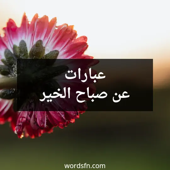 عبارات عن صباح الخير