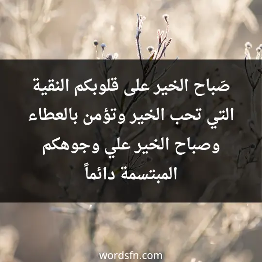 صَباح الخير على قلوبكم النقية التي تحب الخير وتؤمن بالعطاء وصباح الخير علي وجوهكم المبتسمة دائماً