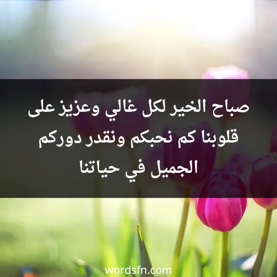 صباح الخير لكل غالي وعزيز على قلوبنا ،كم نحبكم ونقدر دوركم الجميل في حياتنا