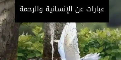 عبارات عن الإنسانية والرحمة