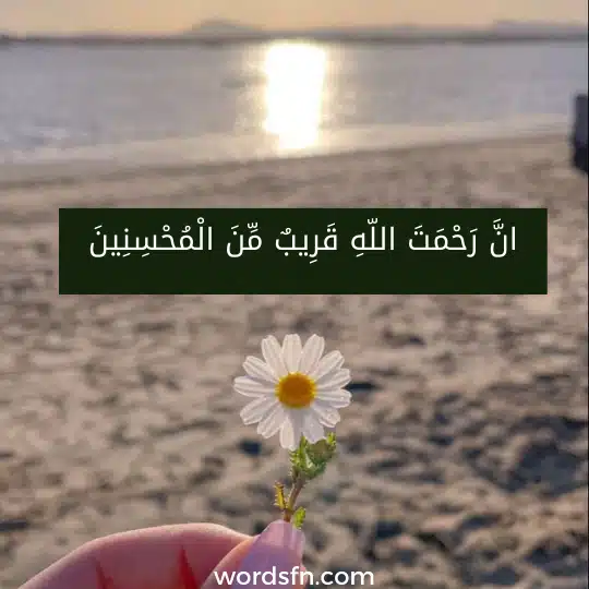 إِنَّ رَحْمَتَ اللّهِ قَرِيبٌ مِّنَ الْمُحْسِنِينَ - فن العبارات إِنَّ رَحْمَتَ اللّهِ قَرِيبٌ مِّنَ الْمُحْسِنِينَ