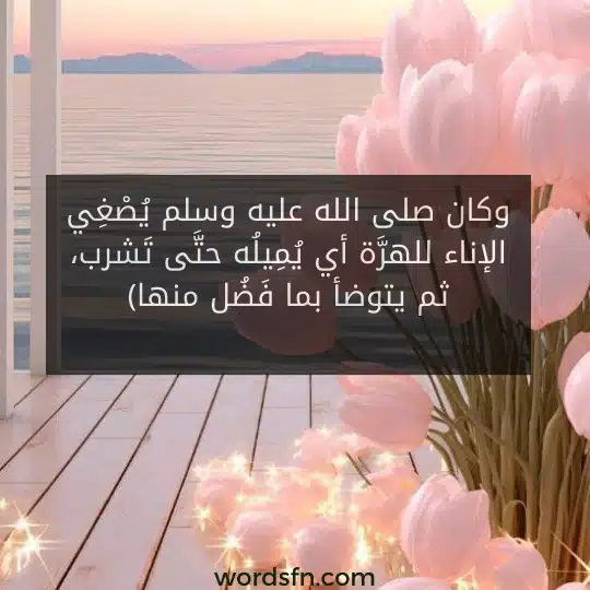 وكان صلى الله عليه وسلم يُصْغِي الإناء للهرَّة أي يُمِيلُه حتَّى تَشرب، ثم يتوضأ بما فَضُل منها - فن العبارات وكان صلى الله عليه وسلم يُصْغِي الإناء للهرَّة أي يُمِيلُه حتَّى تَشرب، ثم يتوضأ بما فَضُل منها