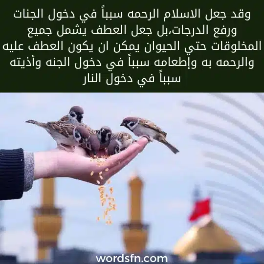 وقد جعل الاسلام الرحمه سبباً في دخول الجنات ورفع الدرجات،بل جعل العطف يشمل جميع المخلوقات حتي الحيوان يمكن ان يكون العطف عليه والرحمه به وإطعامه سبباً في دخول الجنه وأذيته سبباً في دخول النار - فن العبارات وقد جعل الاسلام الرحمه سبباً في دخول الجنات ورفع الدرجات،بل جعل العطف يشمل جميع المخلوقات حتي الحيوان يمكن ان يكون العطف عليه والرحمه به وإطعامه سبباً في دخول الجنه وأذيته سبباً في دخول النار