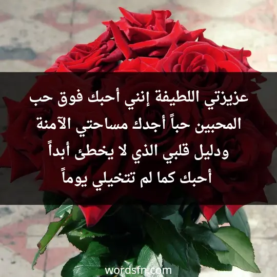 عزيزتي اللطيفة، إنني أحبك فوق حب المحبين حباً، أجدك مساحتي الآمنة، ودليل قلبي الذي لا يخطئ أبداً، أحبك كما لم تتخيلي يوماً