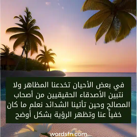 في بعض الأحيان تخدعنا المظاهر ولا نتبين الأصدقاء الحقيقيين من أصحاب المصالح. وحين تأتينا الشدائد نعلم ما كان خفياً عنا وتظهر الرؤية بشكل أوضح 