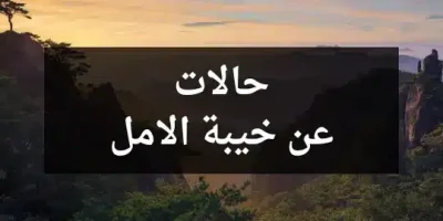 حالات عن خيبة الامل