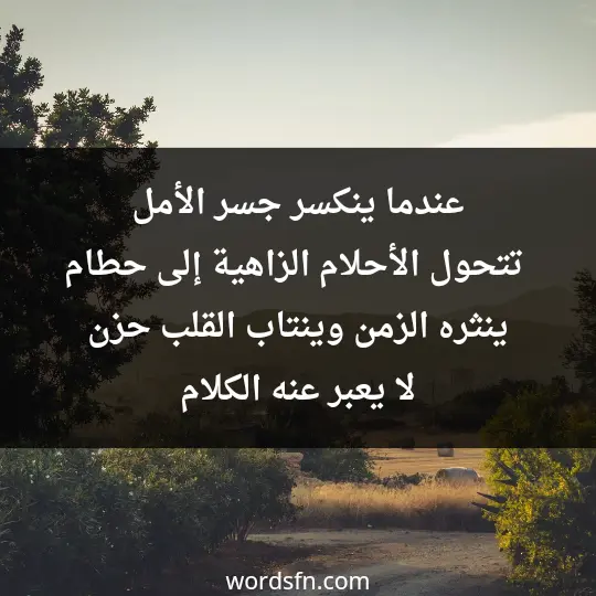 عندما ينكسر جسر الأمل، تتحول الأحلام الزاهية إلى حطام ينثره الزمن، وينتاب القلب حزن لا يعبر عنه الكلام - فن العبارات عندما ينكسر جسر الأمل، تتحول الأحلام الزاهية إلى حطام ينثره الزمن، وينتاب القلب حزن لا يعبر عنه الكلام