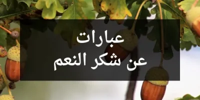 عبارات عن شكر النعم