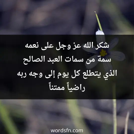شكر الله عز وجل على نعمه سمة من سمات العبد الصالح. الذي يتطلع كل يوم إلى وجه ربه راضياً ممتناً - فن العبارات شكر الله عز وجل على نعمه سمة من سمات العبد الصالح. الذي يتطلع كل يوم إلى وجه ربه راضياً ممتناً