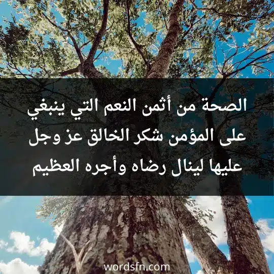 الصحة من أثمن النعم التي ينبغي على المؤمن شكر الخالق عز وجل عليها لينال رضاه وأجره العظيم - فن العبارات الصحة من أثمن النعم التي ينبغي على المؤمن شكر الخالق عز وجل عليها لينال رضاه وأجره العظيم