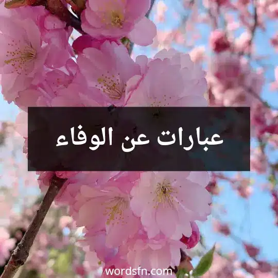 عبارات عن الوفاء