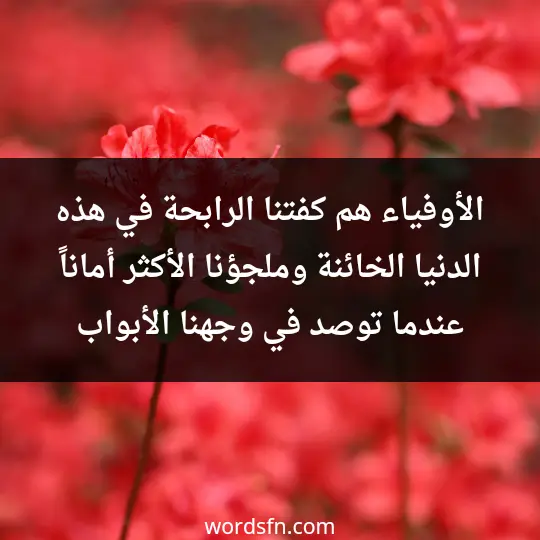 الأوفياء هم كفتنا الرابحة في هذه الدنيا الخائنة وملجؤنا الأكثر أماناً عندما توصد في وجهنا الأبواب - فن العبارات الأوفياء هم كفتنا الرابحة في هذه الدنيا الخائنة وملجؤنا الأكثر أماناً عندما توصد في وجهنا الأبواب