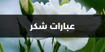 عبارات شكر
