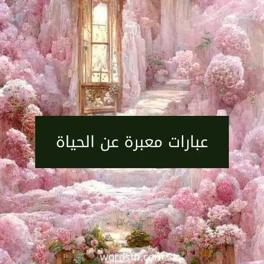 عبارات معبرة عن الحياة
