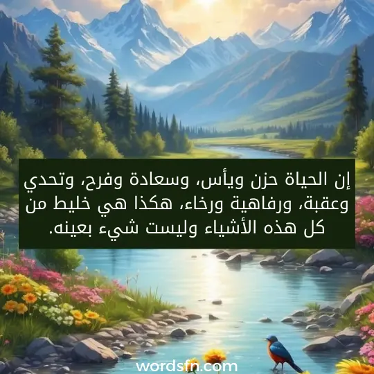 عبارات معبرة عن الحياة كلمات وحالات واتس مؤثرة عن الحياة ن الحياة حزن ويأس، وسعادة وفرح، وتحدي وعقبة، ورفاهية ورخاء، هكذا هي خليط من كل هذه الأشياء وليست شيء بعينه.