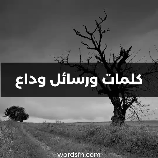 كلمات ورسائل وداع