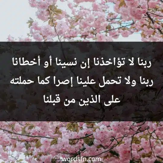 ﺭﺑﻨﺎ ﻻ ﺗﺆﺍﺧﺬﻧﺎ ﺇﻥ ﻧﺴﻴﻨﺎ ﺃﻭ ﺃﺧﻄﺎﻧﺎ، ﺭﺑﻨﺎ ﻭﻻ ﺗﺤﻤﻞ ﻋﻠﻴﻨﺎ ﺇﺻﺮﺍ ﻛﻤﺎ ﺣﻤﻠﺘﻪ ﻋﻠﻰ ﺍﻟﺬﻳﻦ ﻣﻦ ﻗﺒﻠﻨﺎ