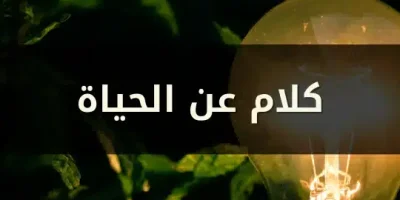 كلام عن الحياة