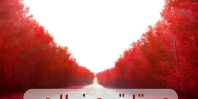بوستات حب حلوه