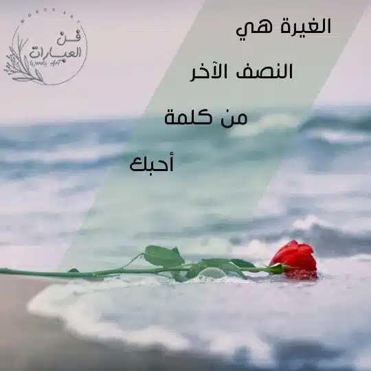 عبارات فخمة في البايو