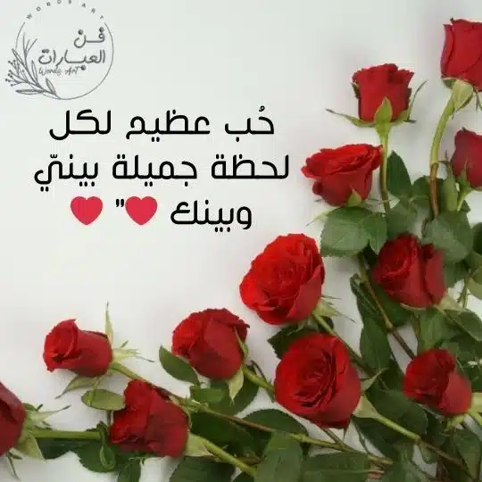 زخرفة انستا بايو