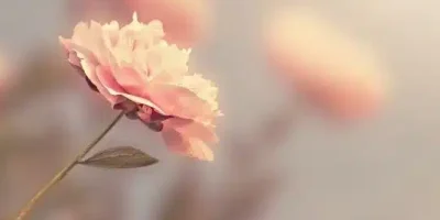 عبارات فخمة انستا للبايو قصيرة مزخرفة