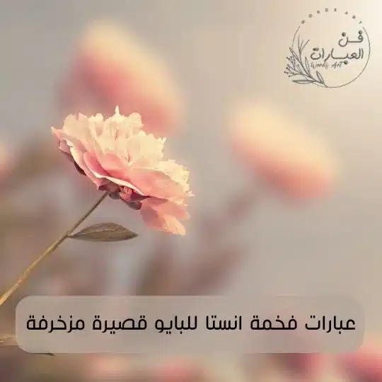 عبارات فخمة انستا للبايو قصيرة مزخرفة