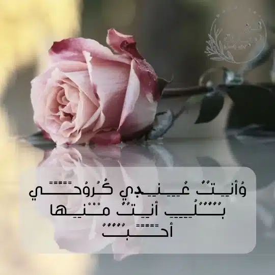 عبارات مزخرفة للانستقرام