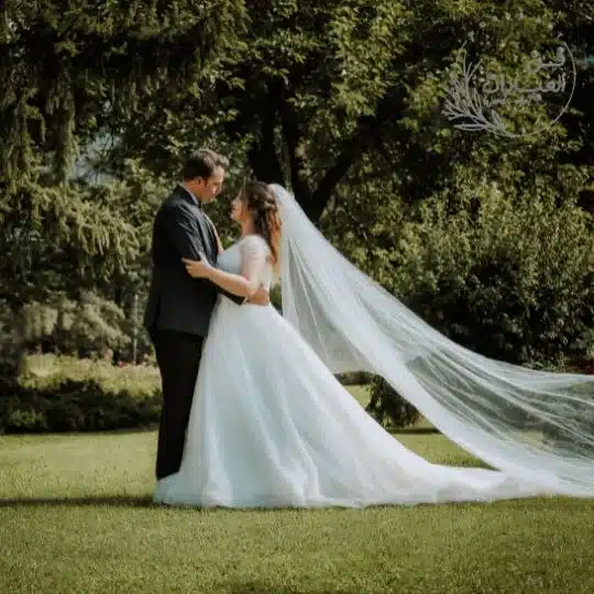 التوقعات والطموح