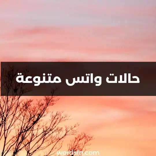 حالات واتس متنوعة