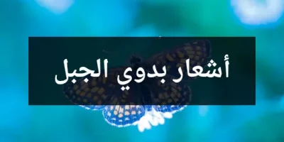 أشعار بدوي الجبل