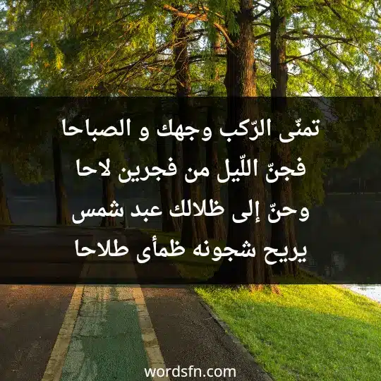 تمنّى الرّكب وجهك و الصباحا فجنّ اللّيل من فجرين لاحا وحنّ إلى ظلالك عبد شمس يريح شجونه ظمأى طلاحا