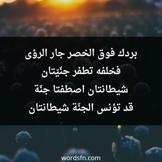 بردك فوق الخصر جار الرؤى فخلفه تطفر جنّيّتان شيطانتان اصطفتا جنّة قد تؤنس الجنّة شيطانتان