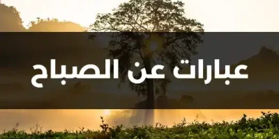 عبارات عن الصباح