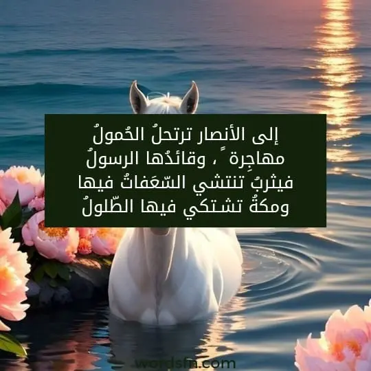 إلى الأنصار ترتحلُ الحُمولُ مهاجِرة ً ، وقائدُها الرسولُ فيثربُ تنتشي السّعَفاتُ فيها ومكةُ تشـتكي فيها الطّلولُ - فن العبارات إلى الأنصار ترتحلُ الحُمولُ مهاجِرة ً ، وقائدُها الرسولُ فيثربُ تنتشي السّعَفاتُ فيها ومكةُ تشـتكي فيها الطّلولُ