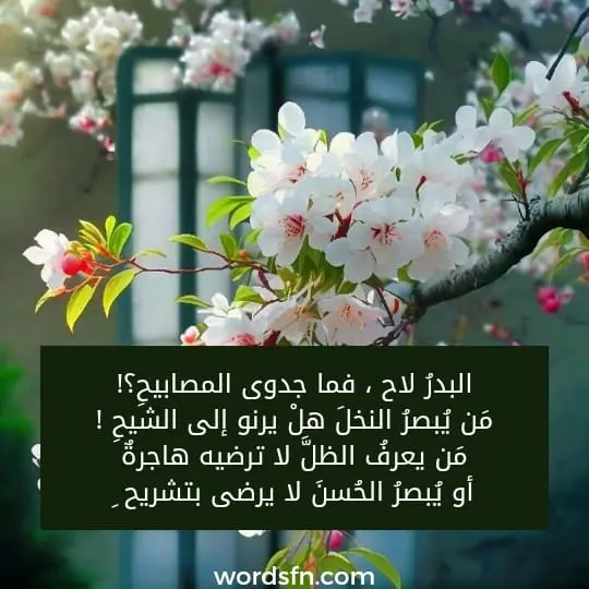 البدرُ لاح ، فما جدوى المصابيحِ؟! مَن يُبصرُ النخلَ هلْ يرنو إلى الشيحِ ! مَن يعرفُ الظلَّ لا ترضيه هاجرةٌ أو يُبصرُ الحُسنَ لا يرضى بتشريح ِ - فن العبارات البدرُ لاح ، فما جدوى المصابيحِ؟! مَن يُبصرُ النخلَ هلْ يرنو إلى الشيحِ ! مَن يعرفُ الظلَّ لا ترضيه هاجرةٌ أو يُبصرُ الحُسنَ لا يرضى بتشريح ِ