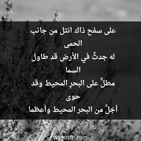 على سفح ذاك انتل من جانب الحمى له جدثٌ في الأرض قد طاول السما مطلٌّ على البحرِ المحيط وقد حوى أجَلَّ من البحر المحيط وأعظما