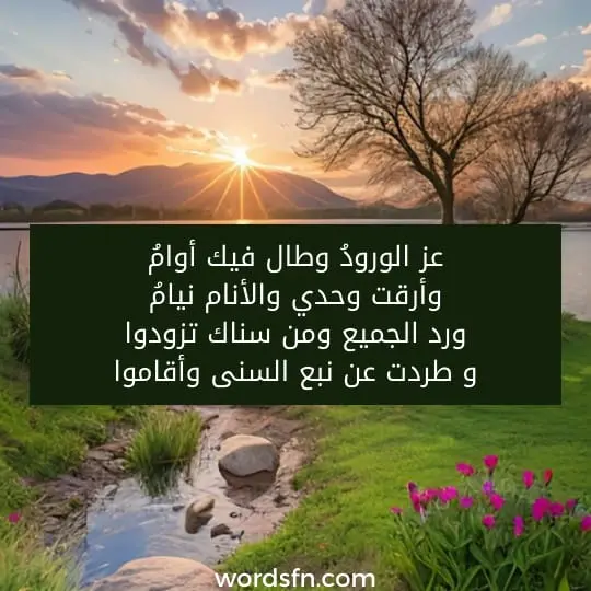 عز الورودُ وطال فيك أوامُ وأرقت وحدي والأنام نيامُ ورد الجميع ومن سناك تزودوا و طردت عن نبع السنى وأقاموا - فن العبارات عز الورودُ وطال فيك أوامُ وأرقت وحدي والأنام نيامُ ورد الجميع ومن سناك تزودوا و طردت عن نبع السنى وأقاموا