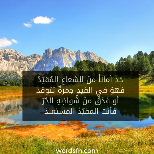 ذ أماناً منَ الشعاع المُقيّدْ فهوَ في القيدِ جمرةٌ تتوقدْ أو فَذقْ منْ شُواظِهِ الحُرّ فأنت المقيّدُ المستعبَدْ - فن العبارات ذ أماناً منَ الشعاع المُقيّدْ فهوَ في القيدِ جمرةٌ تتوقدْ أو فَذقْ منْ شُواظِهِ الحُرّ فأنت المقيّدُ المستعبَدْ